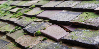 Hanbury roof repair costs